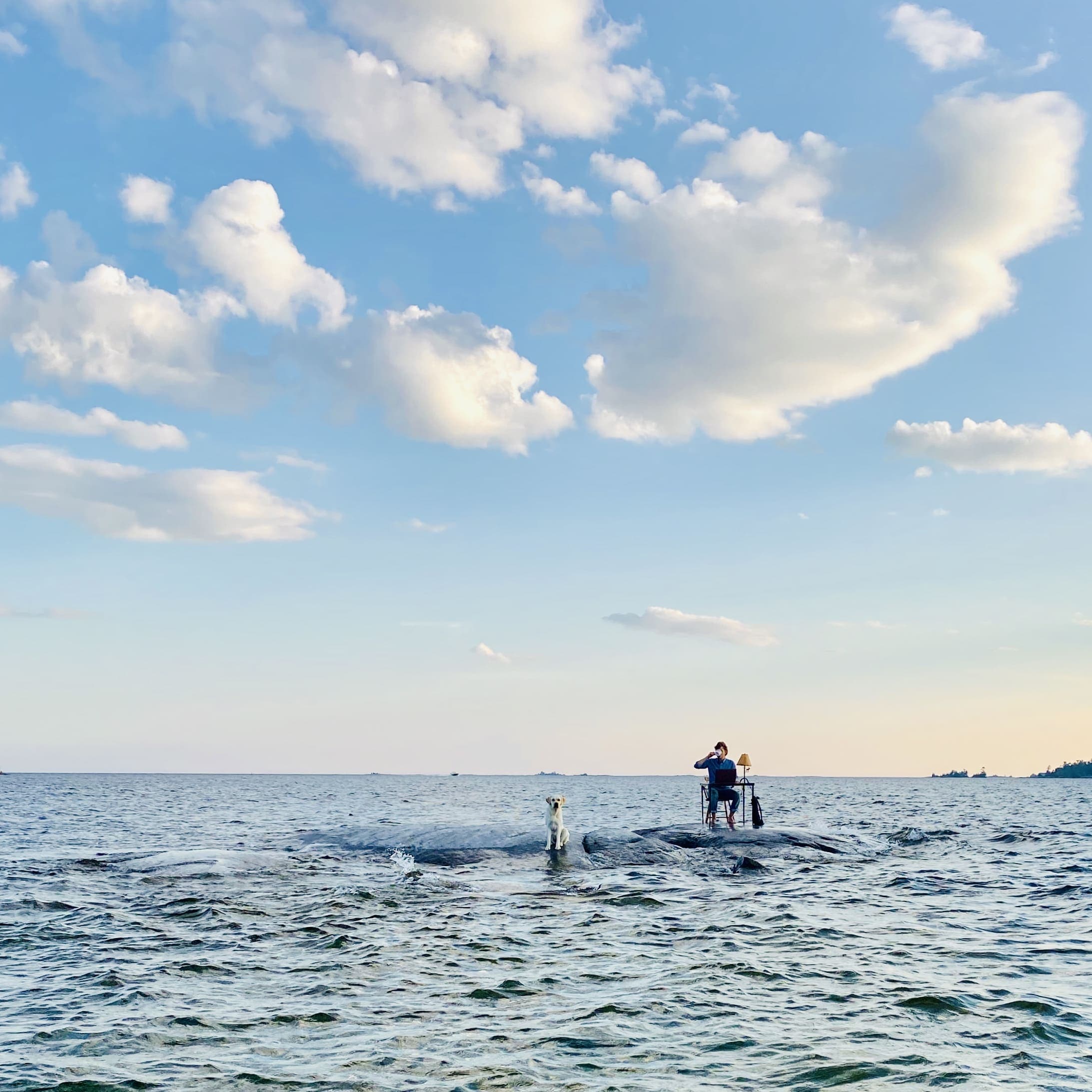 me working on a small island during Covid